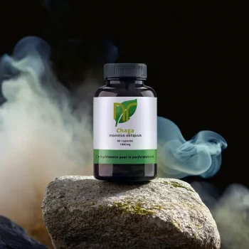 Chaga de qualité au meilleur rapport qualité prix chez Nutriforce