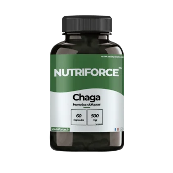 Chaga pharmacie, complément alimentaire, gélules avec de nombreux bienfaits