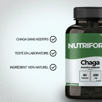 Bienfaits du chaga complément alimentaire pharmaceutique qui a de nombreuses vertus