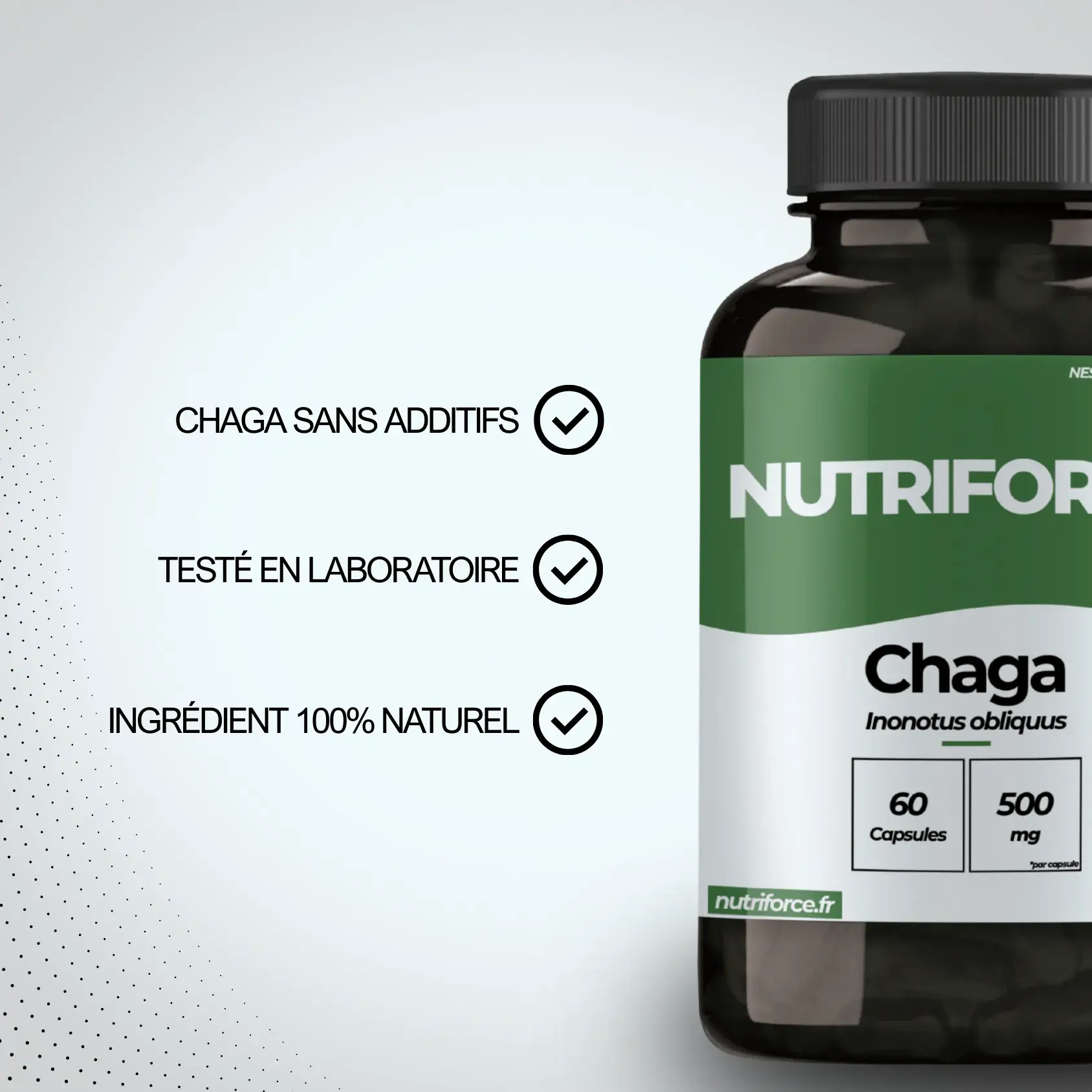 Bienfaits du chaga complément alimentaire pharmaceutique qui a de nombreuses vertus