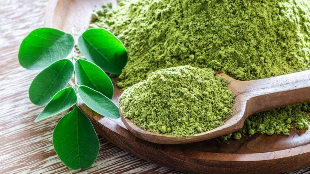 la poudre de Moringa oleifera et ses nombreux bienfaits pour la santé