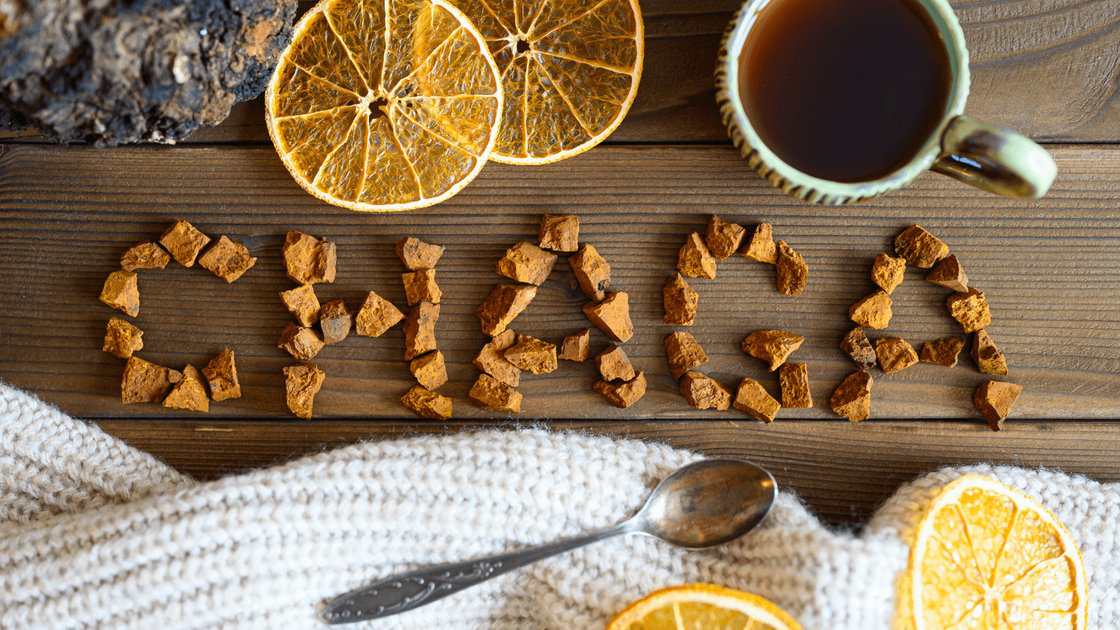 le champignon chaga et ses effets secondaires mais avec des bienfaits