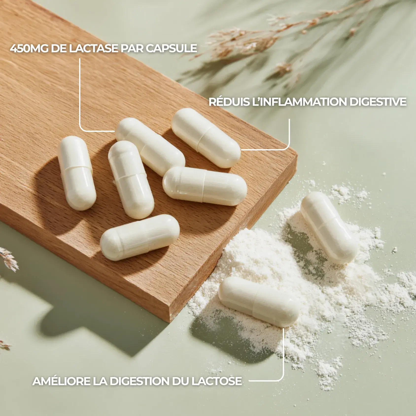 Lactase pour améliorer la digestion de lactose, réduire les inflammation digestive et favoriser le bien être