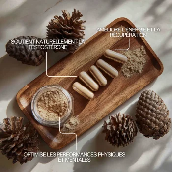 Pollen de pin pour améliorer la récupération, augmenter la testostérone naturellement, améliorer la récupération et l'energie