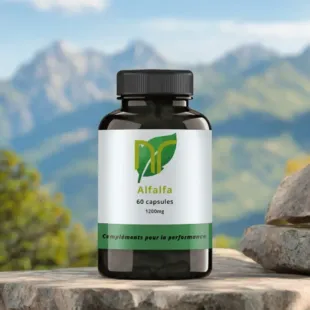 alfafa