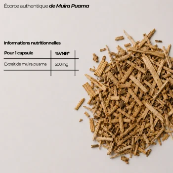 écorce de vrai bois bandé authentique