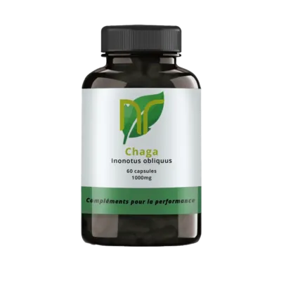 Chaga en gélules et capsules, issue du champignon Inonotus obliquus