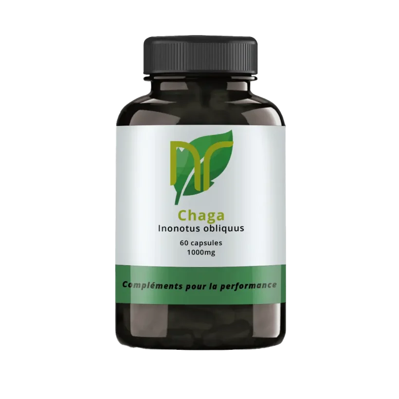 Chaga en gélules et capsules, issue du champignon Inonotus obliquus