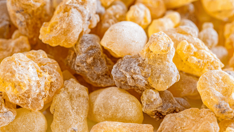 Boswellia serrata : bienfaits, perte de poids et effets secondaires
