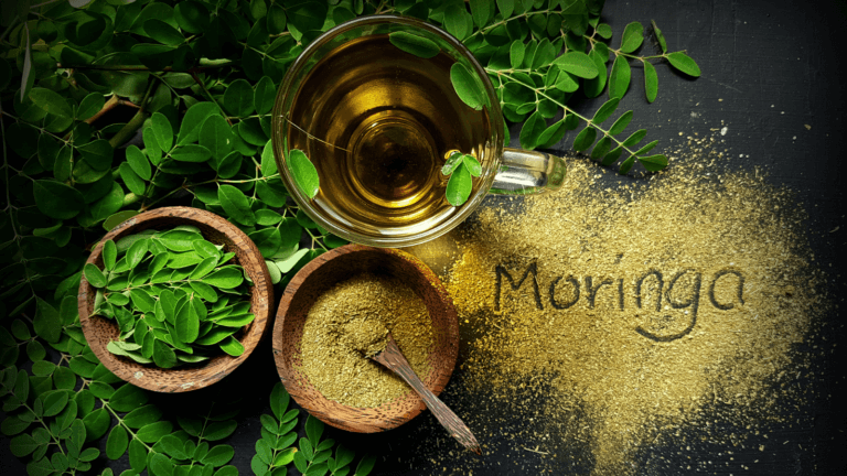 Moringa Oleifera : bienfaits, dosage, effets secondaires et avis complet