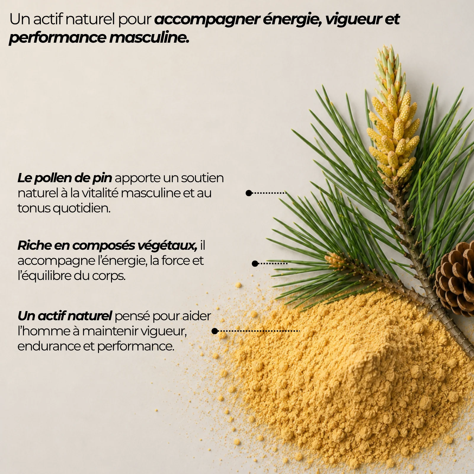 Poudre de pollen de pin Nutriforce et branche de pin : un actif naturel issu de Pinus massoniana, à paroi cellulaire brisée pour être mieux assimilé