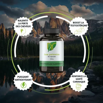 bienfaits saw palmetto