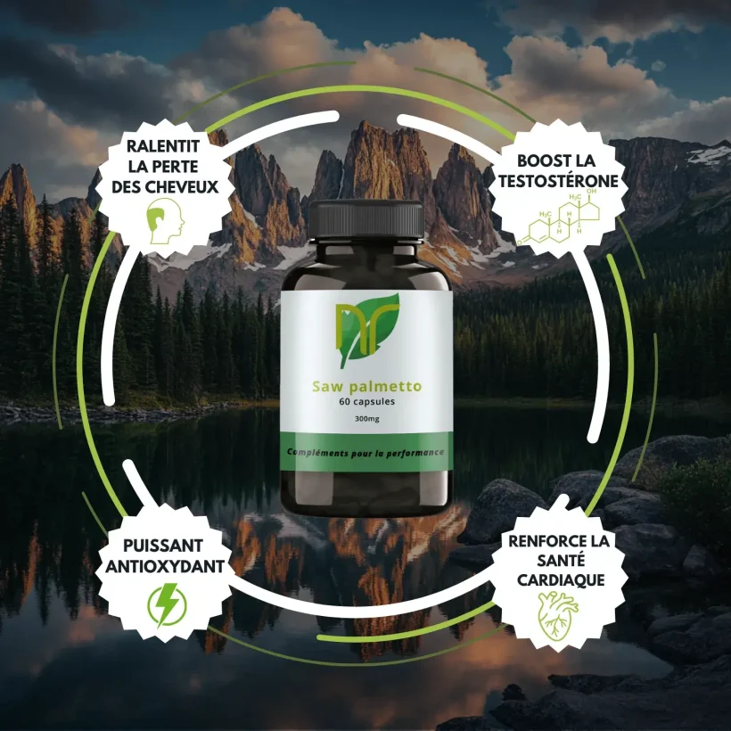 bienfaits saw palmetto