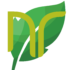 logo nutriforce