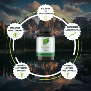 bienfaits quercetine