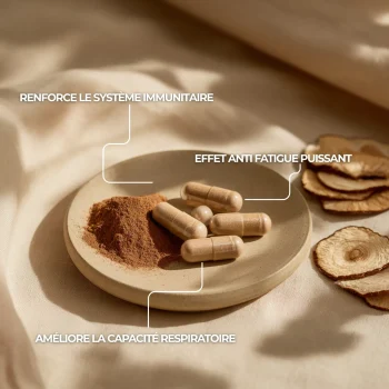 Reishi, renforcement du système immunitaire, effet antifatigue, amélioration des capacités respiratoires