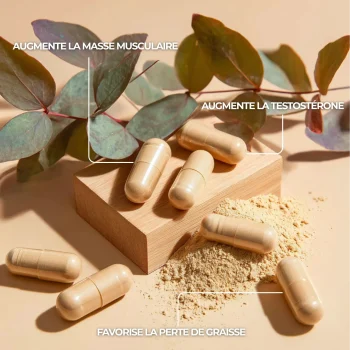 Fenugrec pour augmenter la testostérone, la force et la perte de gras