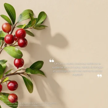 Étude clinique réalisée par Nutriforce sur le camu camu