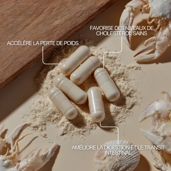 Chitosan pour améliorer la digestion, le transit intestinal et aider pour la perte de poids