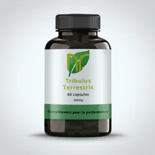sur cette image, on peut voir une boite de 60 gélules et capsules de tribulus terrestris maximus pour la testostérone