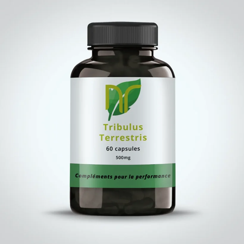 sur cette image, on peut voir une boite de 60 gélules et capsules de tribulus terrestris maximus pour la testostérone