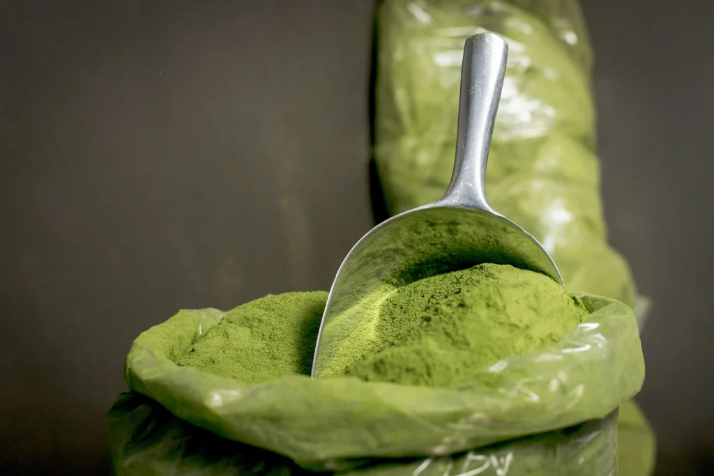 Chlorella sous forme de poudre pour éliminer les toxines et métaux lourds