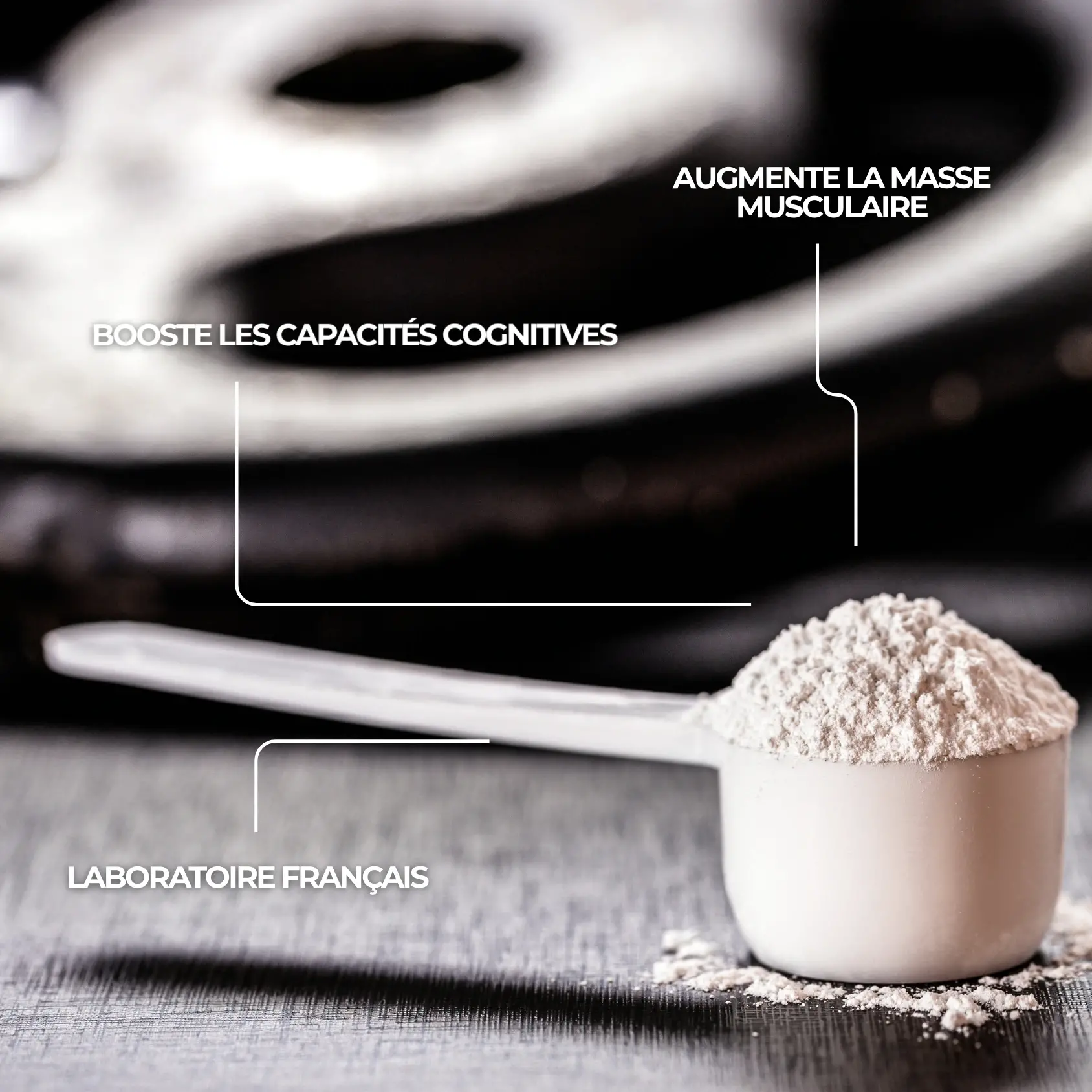 créatine monohydrate complément alimentaire poudre en pharmacie pour la musculation