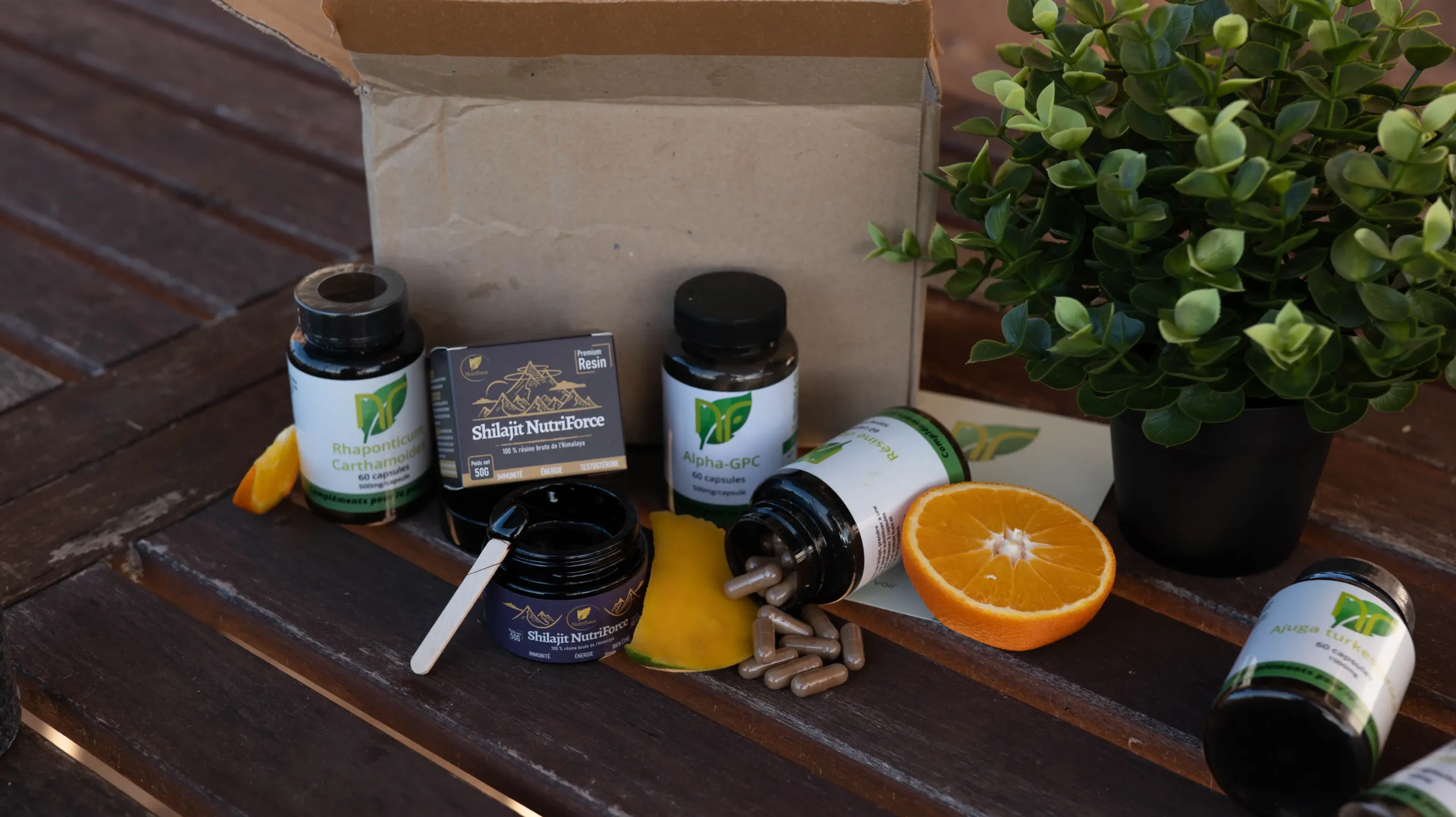 photo qui montre que Nutriforce est votre fournisseur de Shilajit de qualité en France. Nutriforce France est le seul fournisseur de Shilajit en France