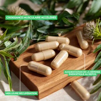 complément alimentaire anti myostatine naturel efficace