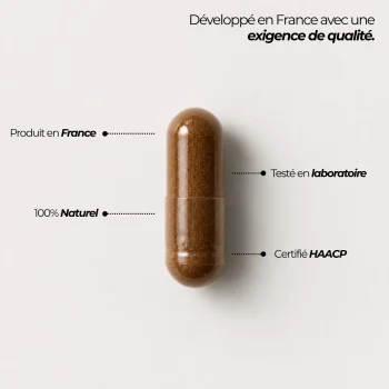 booster de testostérone naturel en gélules