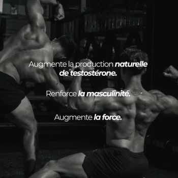 Deux athlètes de musculation en séance, dos et épaules contractés : le complexe booster de testostérone Nutriforce s'adresse aux sportifs de force