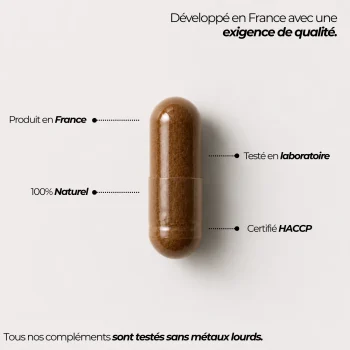 Gélule du booster de testostérone Nutriforce et ses repères qualité : produite en France, fabrication certifiée HACCP, compléments testés sans métaux lourds