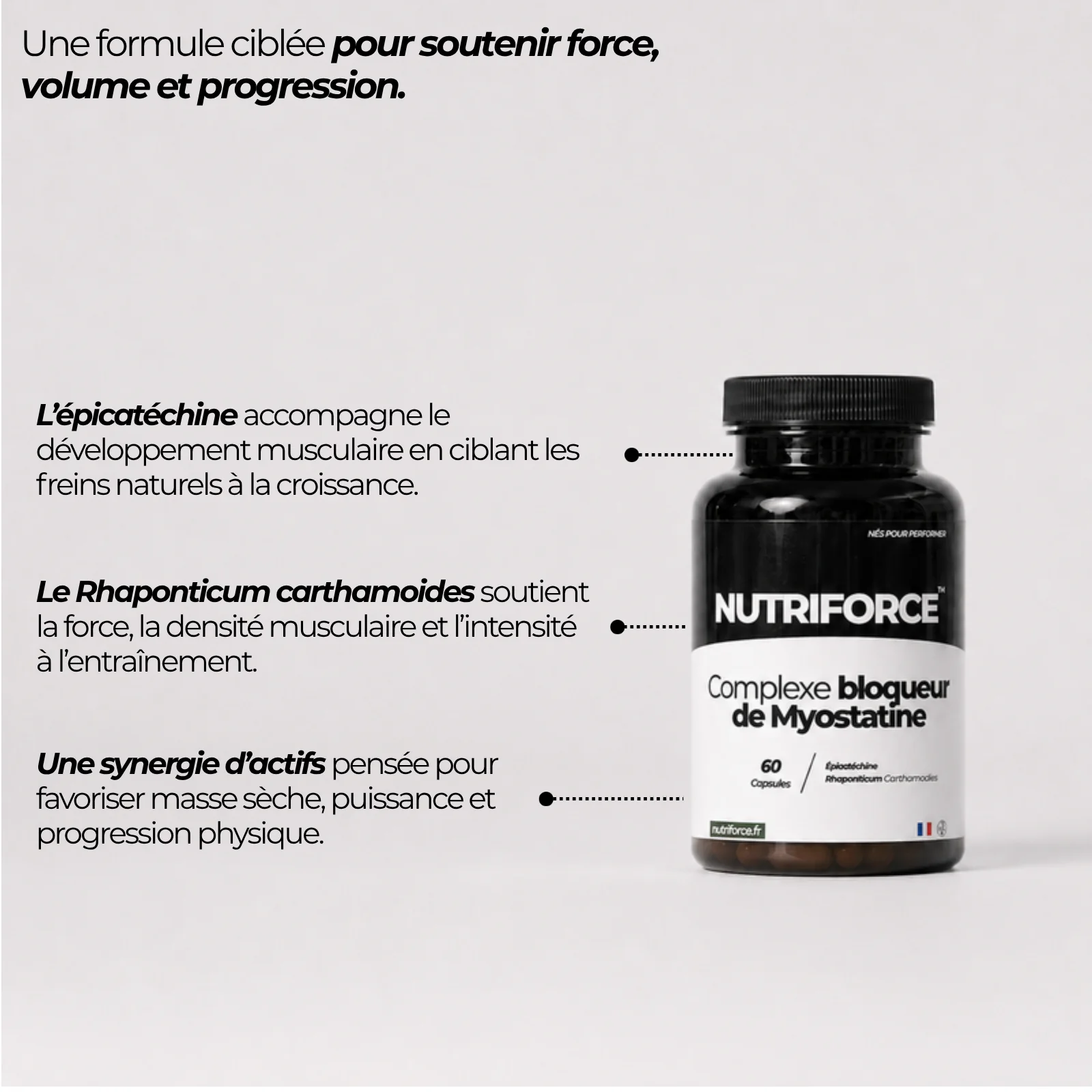 Pot du complexe myostatine Nutriforce et ses deux actifs : le Rhaponticum carthamoides pour la force et la densité musculaire, et l'épicatéchine