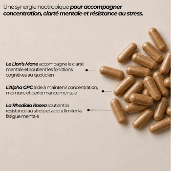 Gélules du complexe nootropique Nutriforce et ses trois actifs : crinière de lion, alpha-GPC et rhodiola, soit 500 mg d'actifs par gélule