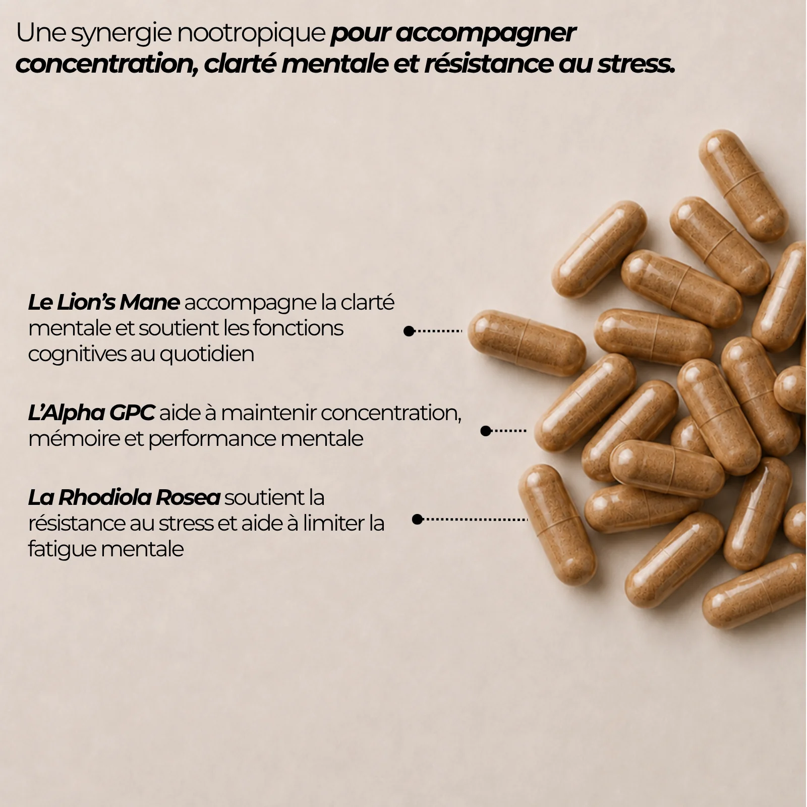 Gélules du complexe nootropique Nutriforce et ses trois actifs : crinière de lion, alpha-GPC et rhodiola, soit 500 mg d'actifs par gélule