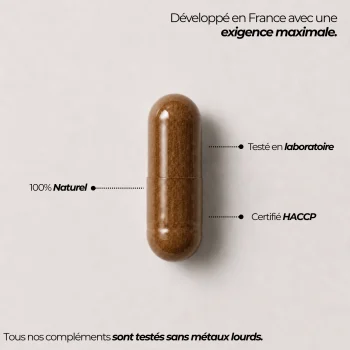Gélule du complexe nootropique Nutriforce développée en France, testée en laboratoire, certifiée HACCP et contrôlée sans métaux lourds