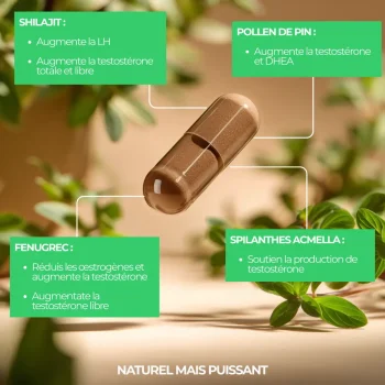 Booster de testostérone le plus efficace et anabolisant