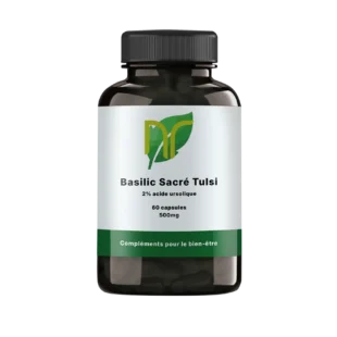 Basilic Sacré Tulsi