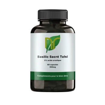 Basilic Sacré Tulsi