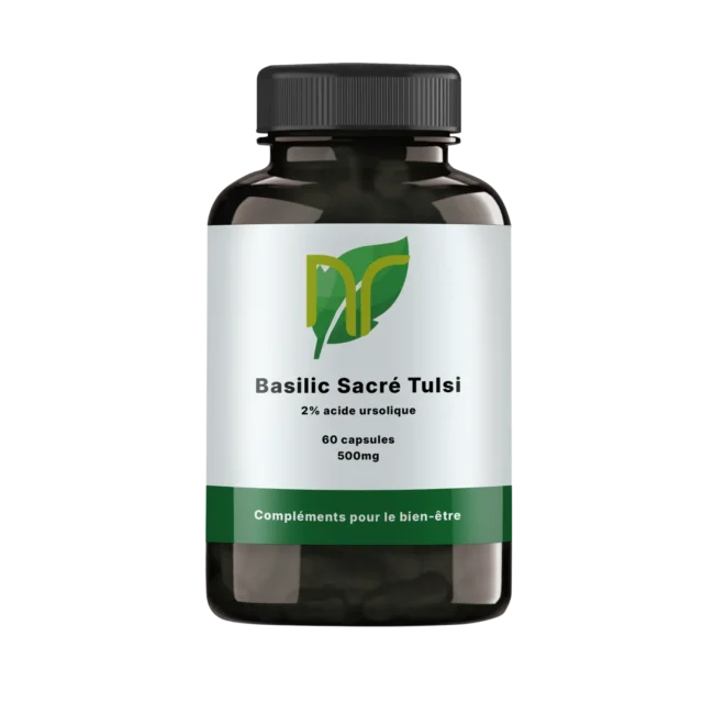 Basilic Sacré Tulsi