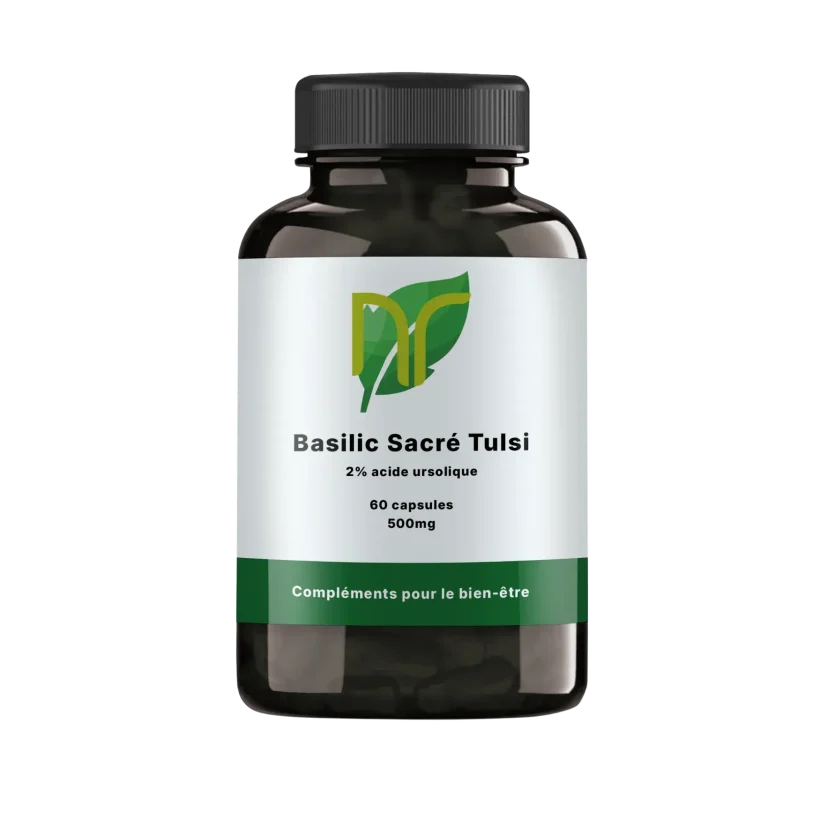 Basilic Sacré Tulsi