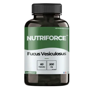 Fucus Vesiculosus