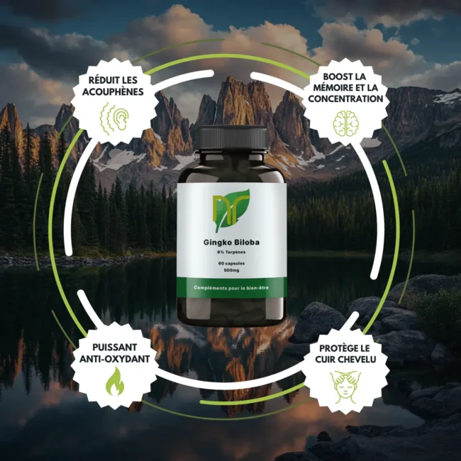 Ginkgo biloba – Image 3