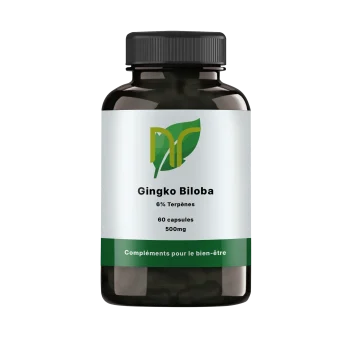 Ginkgo biloba