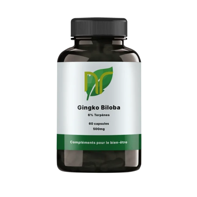 Ginkgo biloba