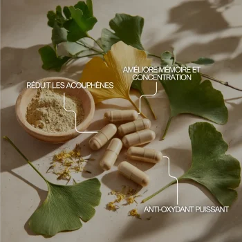 Ginkgo biloba pour réduire les acouphènes, améliorer la concentration