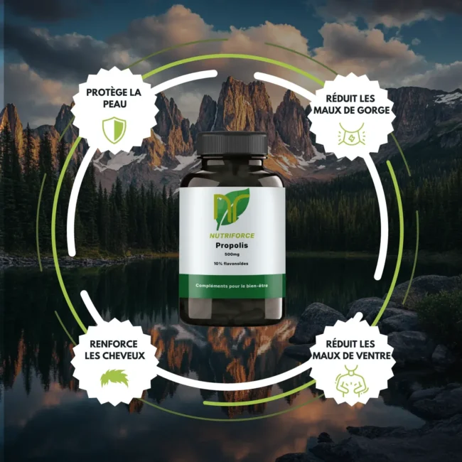 Propolis – Image 3