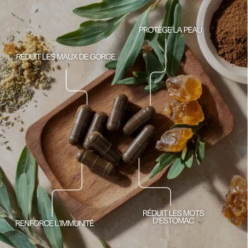 Propolis pour soulager les mots d'estomac, les mots de gorge et protéger la peau