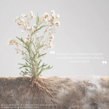 Étude clinique réalisée par Nutriforce sur le psyllium blond