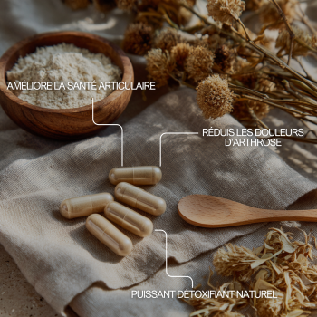 Reine des prés pour le bien être, réduire les douleurs d'arthrose, améliorer la santé articulaire, puissant détoxifiant naturel